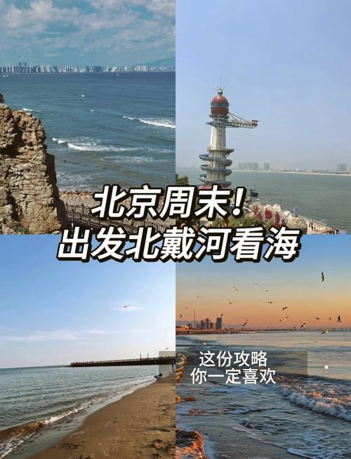 北戴河限行,北戴河限行2024最新限号时间表-第2张图片 北戴河限行,北戴河限行2024最新限号时间表-第2张图片