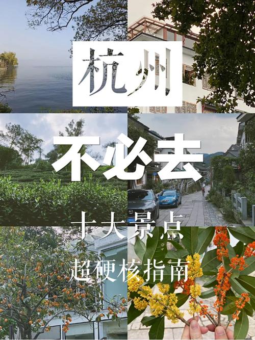 【杭州国庆限行,杭州国庆限行吗外地车】-第5张图片 【杭州国庆限行,杭州国庆限行吗外地车】-第5张图片