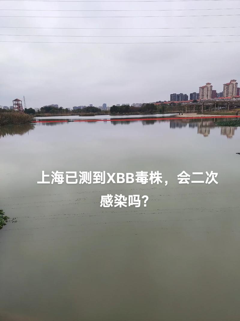 三地疫情同一问题-两地出现疫情-第6张图片 三地疫情同一问题-两地出现疫情-第6张图片