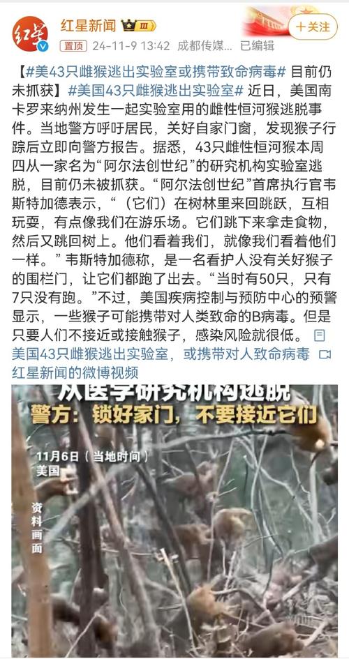 美媒质疑美疫情数据,美国质疑新冠报告-第8张图片 美媒质疑美疫情数据,美国质疑新冠报告-第8张图片