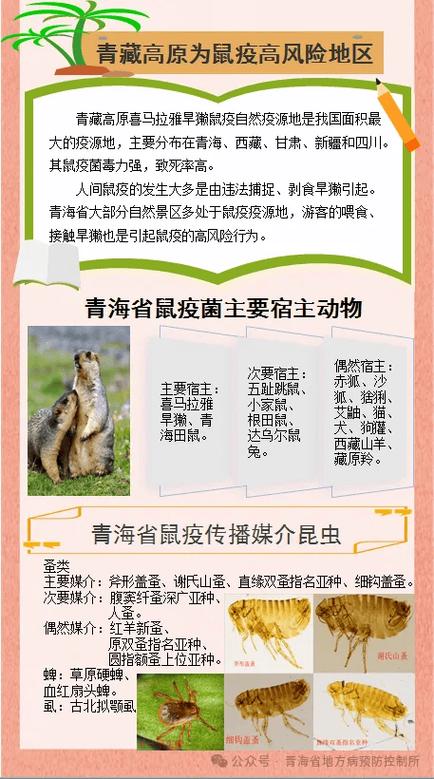 【重大动物疫情,重大动物疫情的报告义务人不包括】-第2张图片 【重大动物疫情,重大动物疫情的报告义务人不包括】-第2张图片