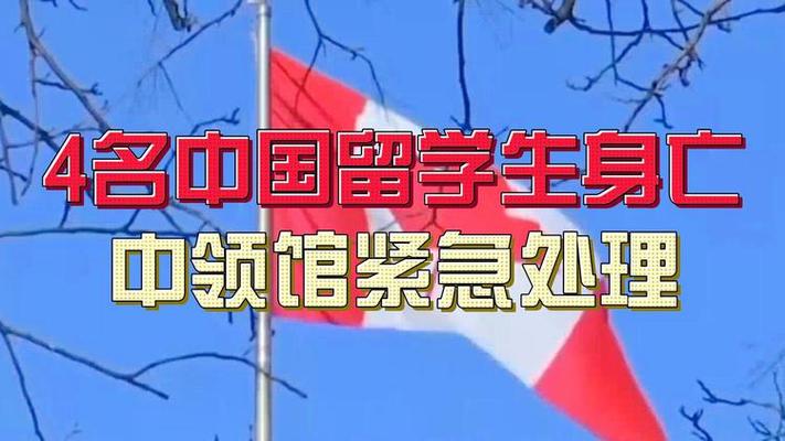 【加拿大新冠疫情最新情况,加拿大新冠疫情最新情况今天】-第4张图片 【加拿大新冠疫情最新情况,加拿大新冠疫情最新情况今天】-第4张图片