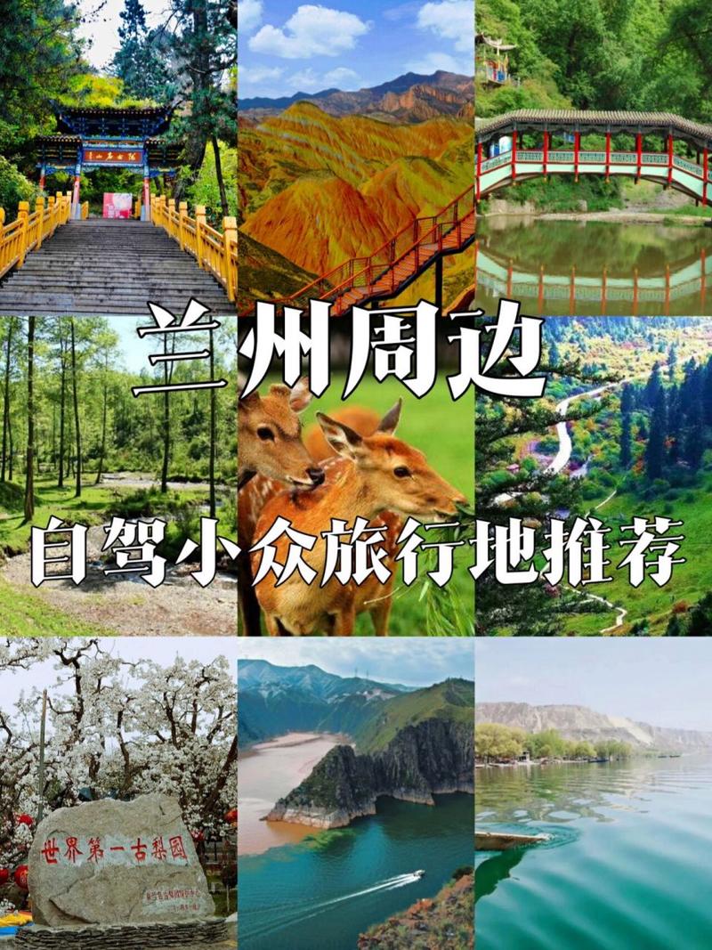 【兰州疫情,兰州疫情时间表】-第1张图片 【兰州疫情,兰州疫情时间表】-第1张图片