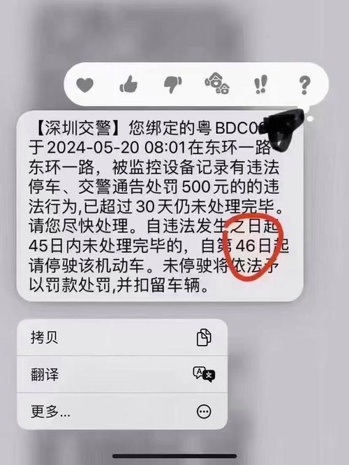 【限号怎么处理,限号怎么处理违章处罚】-第5张图片 【限号怎么处理,限号怎么处理违章处罚】-第5张图片