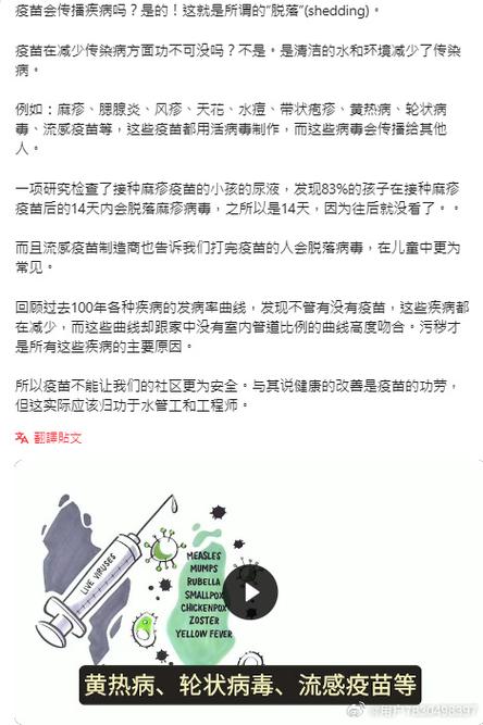 安哥拉黄热病疫情-安哥拉黄热病疫情最新消息-第4张图片 安哥拉黄热病疫情-安哥拉黄热病疫情最新消息-第4张图片