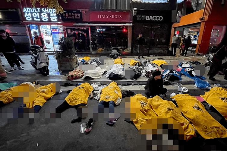 安哥拉黄热病疫情-安哥拉黄热病疫情最新消息-第5张图片 安哥拉黄热病疫情-安哥拉黄热病疫情最新消息-第5张图片