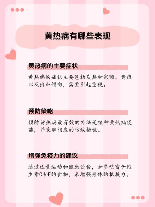 安哥拉黄热病疫情-安哥拉黄热病疫情最新消息-第6张图片 安哥拉黄热病疫情-安哥拉黄热病疫情最新消息-第6张图片