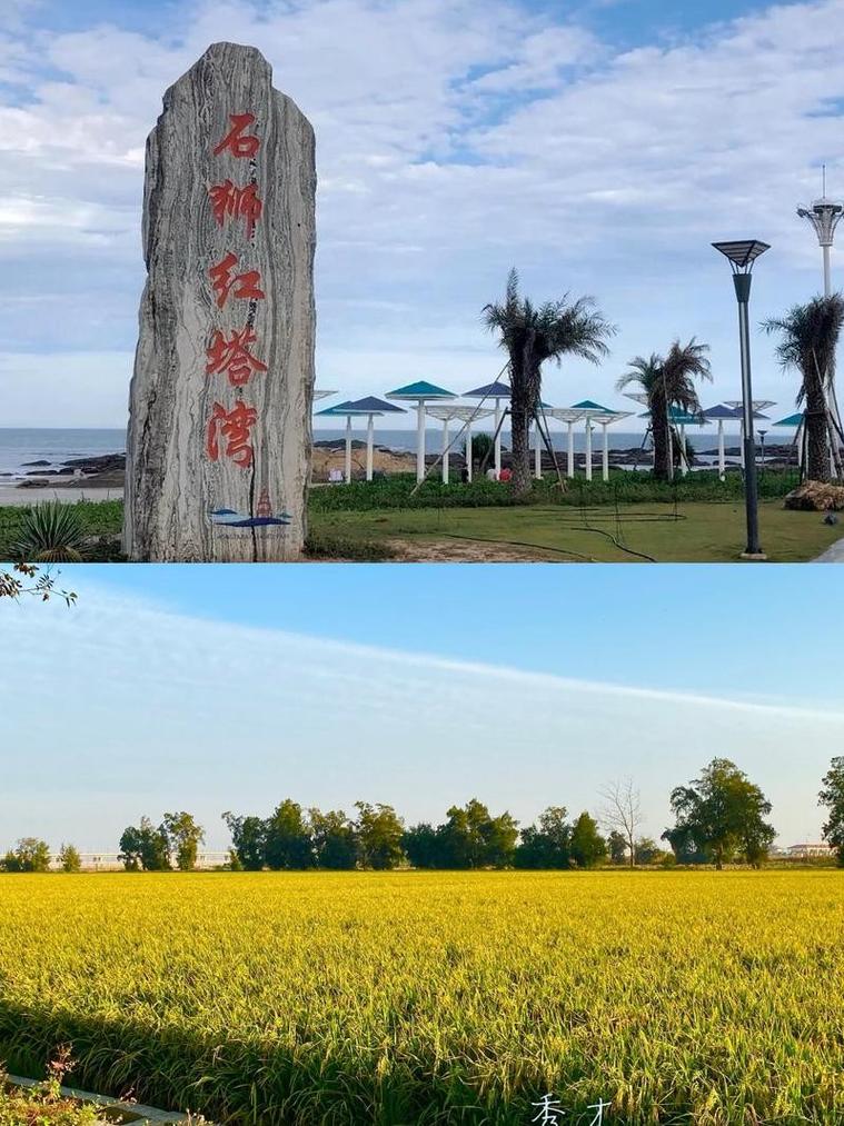 安龙疫情封路(贵州省安龙县封城了吗)-第4张图片 安龙疫情封路(贵州省安龙县封城了吗)-第4张图片
