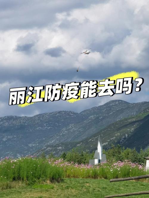 丽江市疫情/丽江市疫情防控支持文旅企业政策-第3张图片 丽江市疫情/丽江市疫情防控支持文旅企业政策-第3张图片