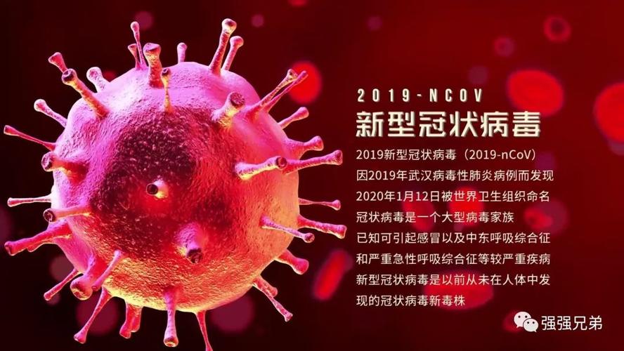 2023年才是疫情爆发的简单介绍-第5张图片 2023年才是疫情爆发的简单介绍-第5张图片