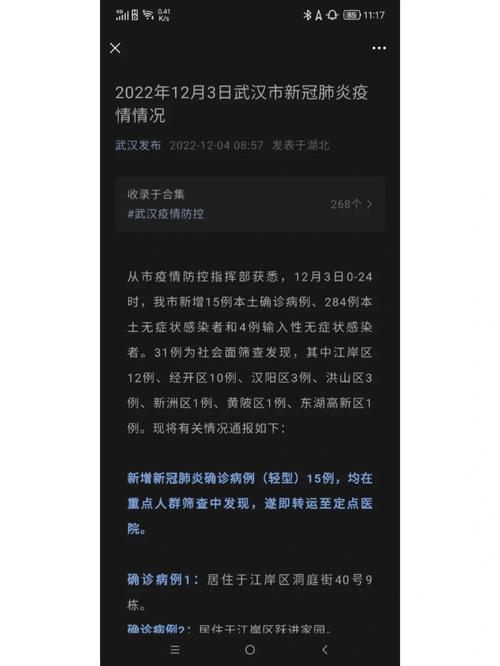 武汉疫情最新情况-武汉疫情最新情况风险等级-第4张图片 武汉疫情最新情况-武汉疫情最新情况风险等级-第4张图片
