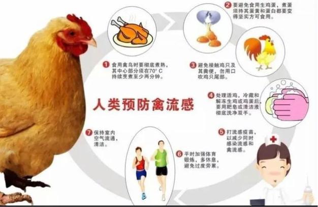 2017全国禽流感疫情/17年禽流感爆发的情况-第4张图片 2017全国禽流感疫情/17年禽流感爆发的情况-第4张图片