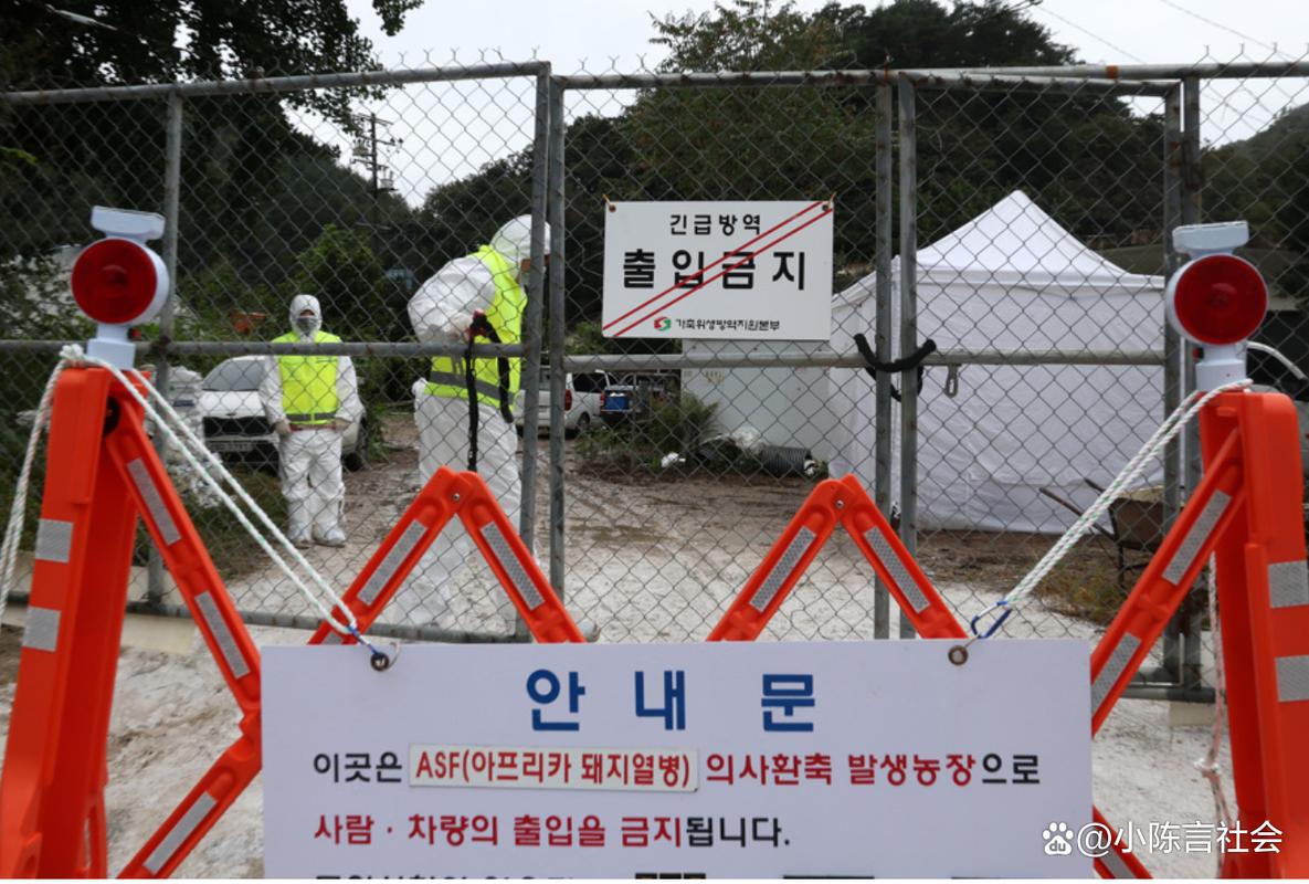韩国疫情-韩国疫情死亡人数-第2张图片 韩国疫情-韩国疫情死亡人数-第2张图片