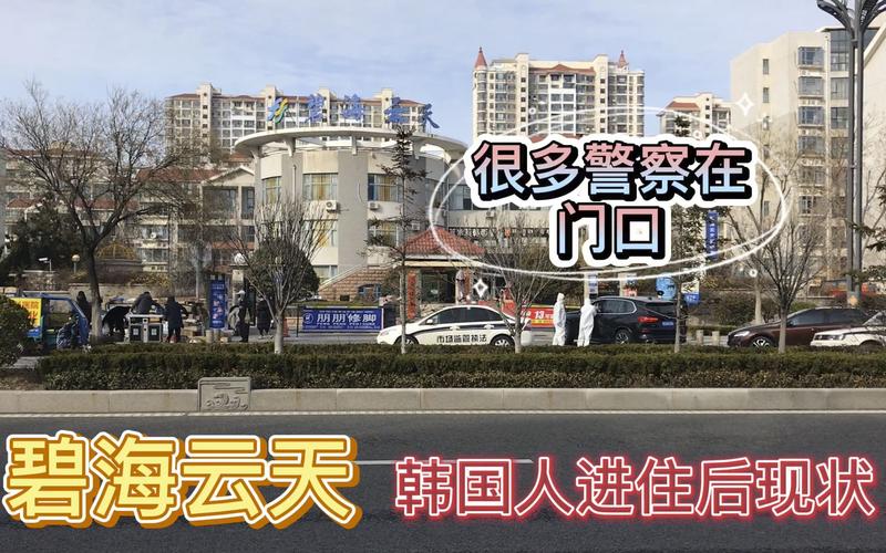 韩国疫情-韩国疫情死亡人数-第3张图片 韩国疫情-韩国疫情死亡人数-第3张图片