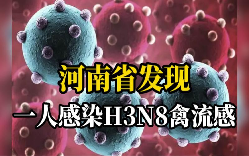 安徽枞阳疫情-安徽枞阳疫情2021返乡通知-第5张图片 安徽枞阳疫情-安徽枞阳疫情2021返乡通知-第5张图片
