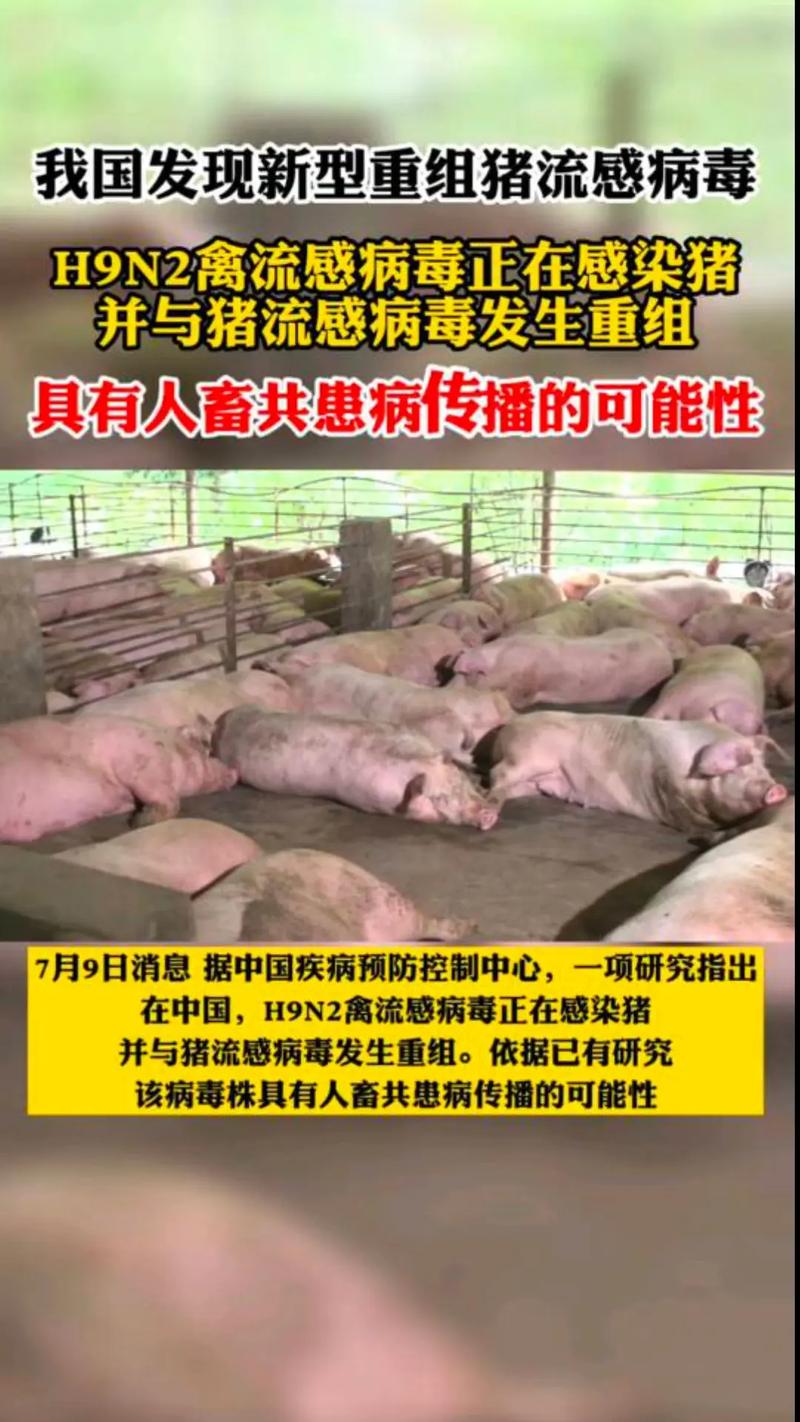 2009年疫情中国-09年疫情大爆发-第8张图片 2009年疫情中国-09年疫情大爆发-第8张图片