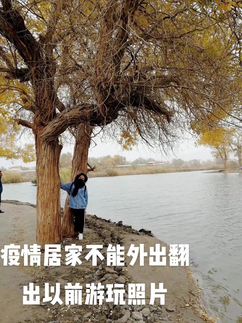 安徽疫情发文-安徽疫情发文了吗-第6张图片 安徽疫情发文-安徽疫情发文了吗-第6张图片