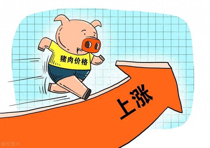 2018猪肉疫情/2020年疫情期间猪肉的费用?-第6张图片 2018猪肉疫情/2020年疫情期间猪肉的费用?-第6张图片