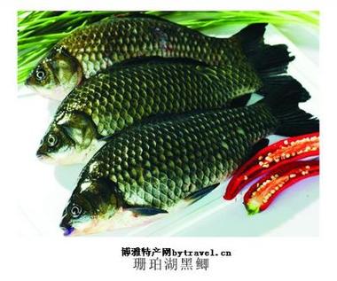 安丰乡疫情-安丰乡是哪里-第2张图片 安丰乡疫情-安丰乡是哪里-第2张图片