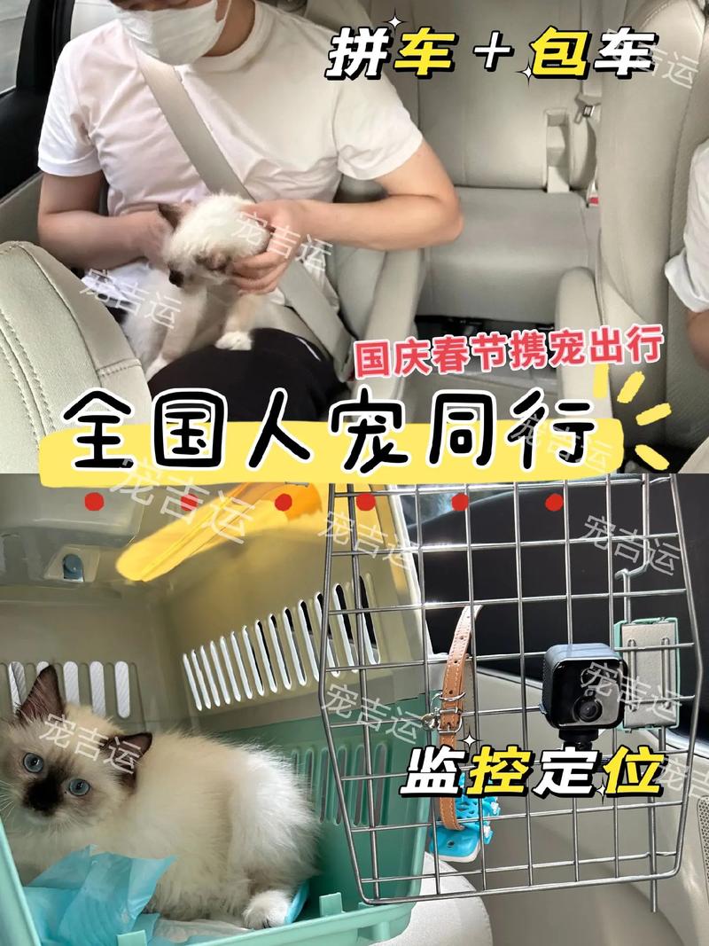 巴西疫情遛狗(巴西疫情墓地)-第4张图片 巴西疫情遛狗(巴西疫情墓地)-第4张图片