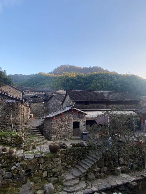 丽水市疫情,丽水市疫情情况-第5张图片 丽水市疫情,丽水市疫情情况-第5张图片