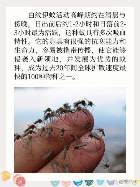 【巴拿马疫情严重吗,2021巴拿马疫情现状】-第5张图片 【巴拿马疫情严重吗,2021巴拿马疫情现状】-第5张图片