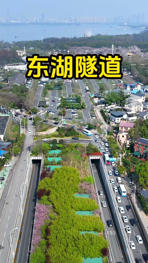 东湖隧道限行/东湖隧道限行规则-第3张图片 东湖隧道限行/东湖隧道限行规则-第3张图片