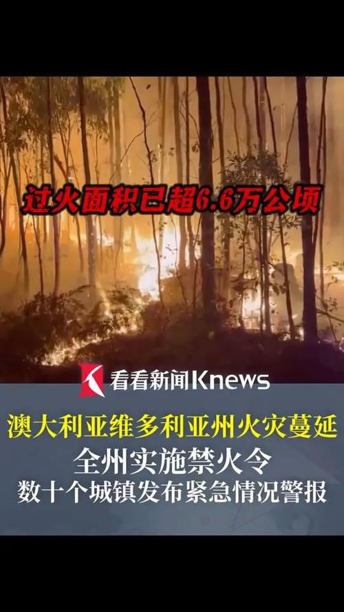 澳洲墨尔本的疫情/澳州墨尔本疫情-第6张图片 澳洲墨尔本的疫情/澳州墨尔本疫情-第6张图片