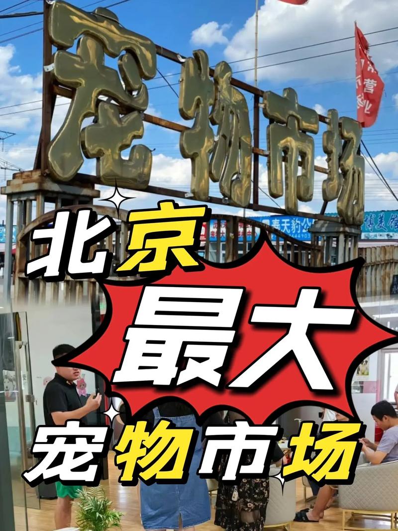 梨园限行/通州梨园限行区规定-第5张图片 梨园限行/通州梨园限行区规定-第5张图片