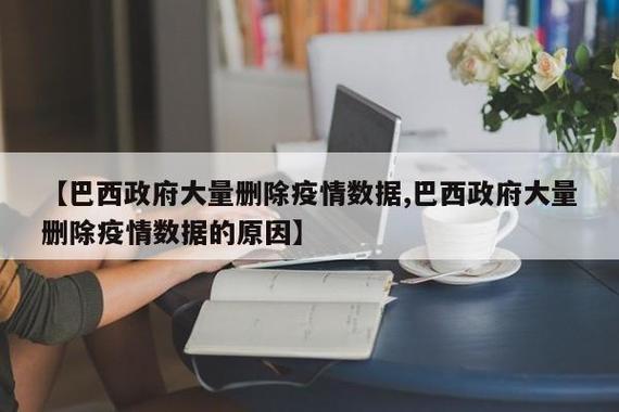 巴西疫情防控/巴西疫情防控最新消息-第2张图片 巴西疫情防控/巴西疫情防控最新消息-第2张图片