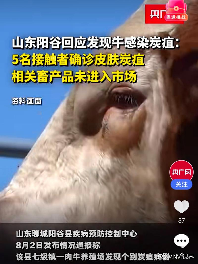 鞍山炭疽疫情(鞍山疑似)-第1张图片 鞍山炭疽疫情(鞍山疑似)-第1张图片
