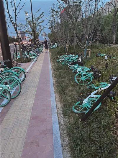 共享单车限行-共享电动车限行区域-第4张图片 共享单车限行-共享电动车限行区域-第4张图片