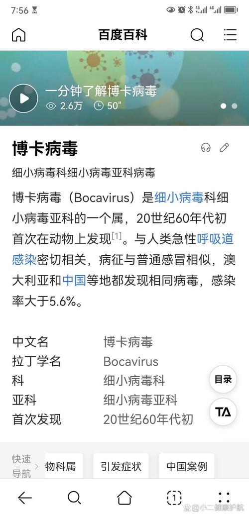 【巴拉圭的疫情,巴拉圭情况】-第1张图片 【巴拉圭的疫情,巴拉圭情况】-第1张图片
