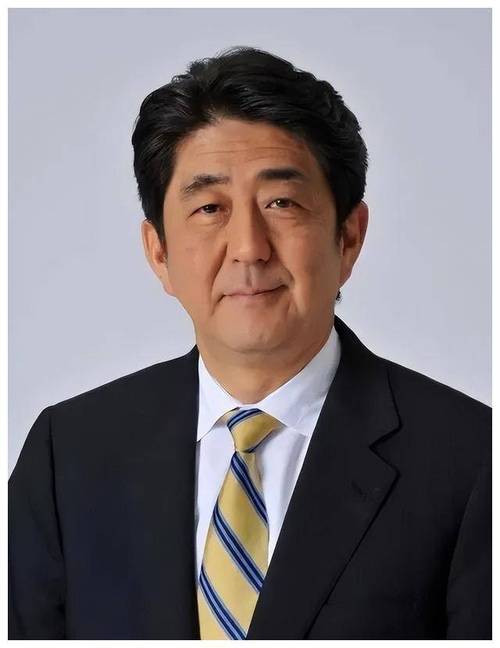 安倍肺炎疫情(安倍的病情)-第3张图片 安倍肺炎疫情(安倍的病情)-第3张图片