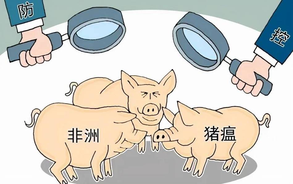 安徽猪温疫情(安徽瘟疫情况)-第3张图片 安徽猪温疫情(安徽瘟疫情况)-第3张图片