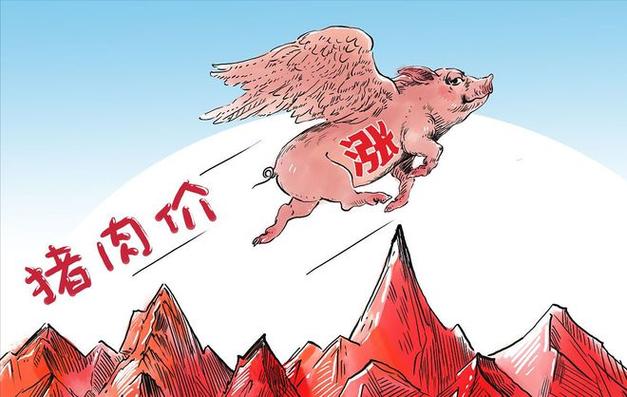 安徽猪温疫情(安徽瘟疫情况)-第4张图片 安徽猪温疫情(安徽瘟疫情况)-第4张图片
