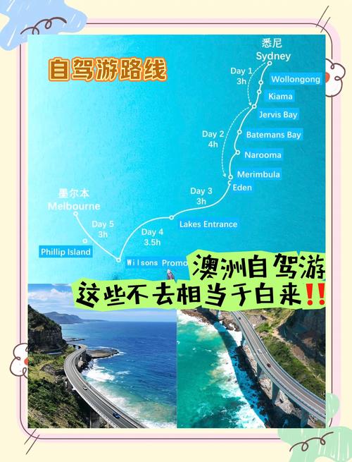 【澳洲每天疫情,澳洲昨日疫情】-第3张图片