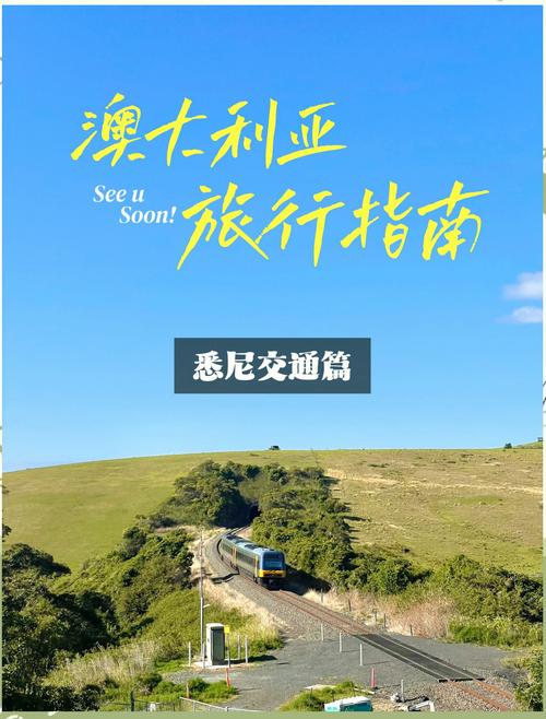 【澳洲每天疫情,澳洲昨日疫情】-第7张图片