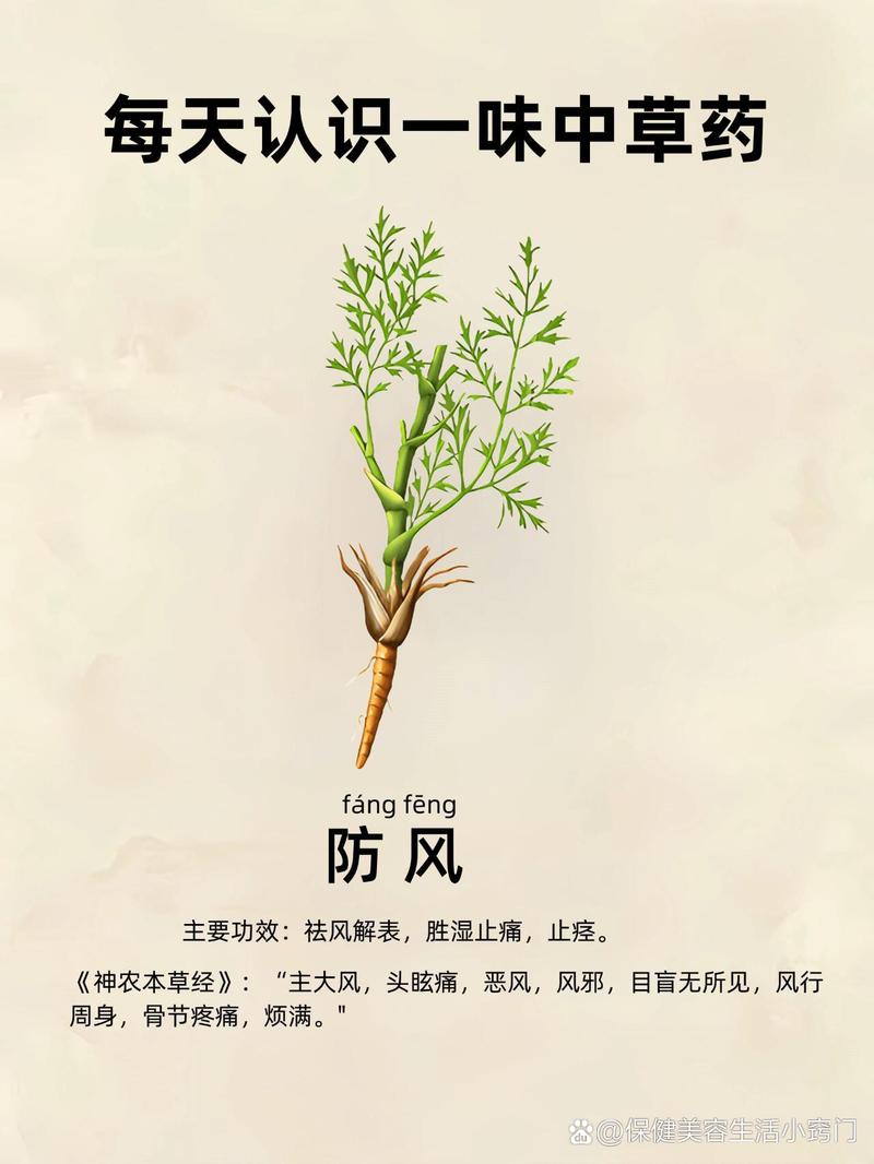 熬中药防疫情/防疫中药汤有用吗-第5张图片 熬中药防疫情/防疫中药汤有用吗-第5张图片
