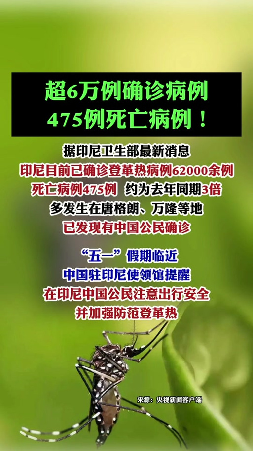 【巴士司机疫情,疫情大巴司机】-第3张图片 【巴士司机疫情,疫情大巴司机】-第3张图片