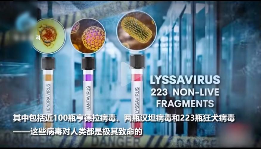 巴西斯疫情(巴西斯疫情最新情况)-第8张图片 巴西斯疫情(巴西斯疫情最新情况)-第8张图片