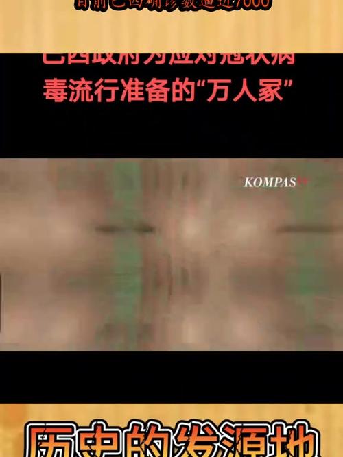 巴西疫情严重中国(巴西疫情超900万)-第2张图片 巴西疫情严重中国(巴西疫情超900万)-第2张图片