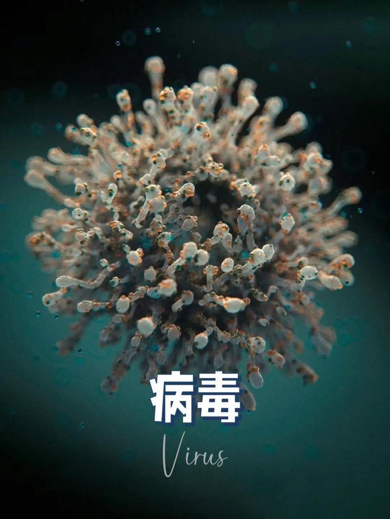 安国拉疫情-安国疫情最新消息2020-第2张图片 安国拉疫情-安国疫情最新消息2020-第2张图片