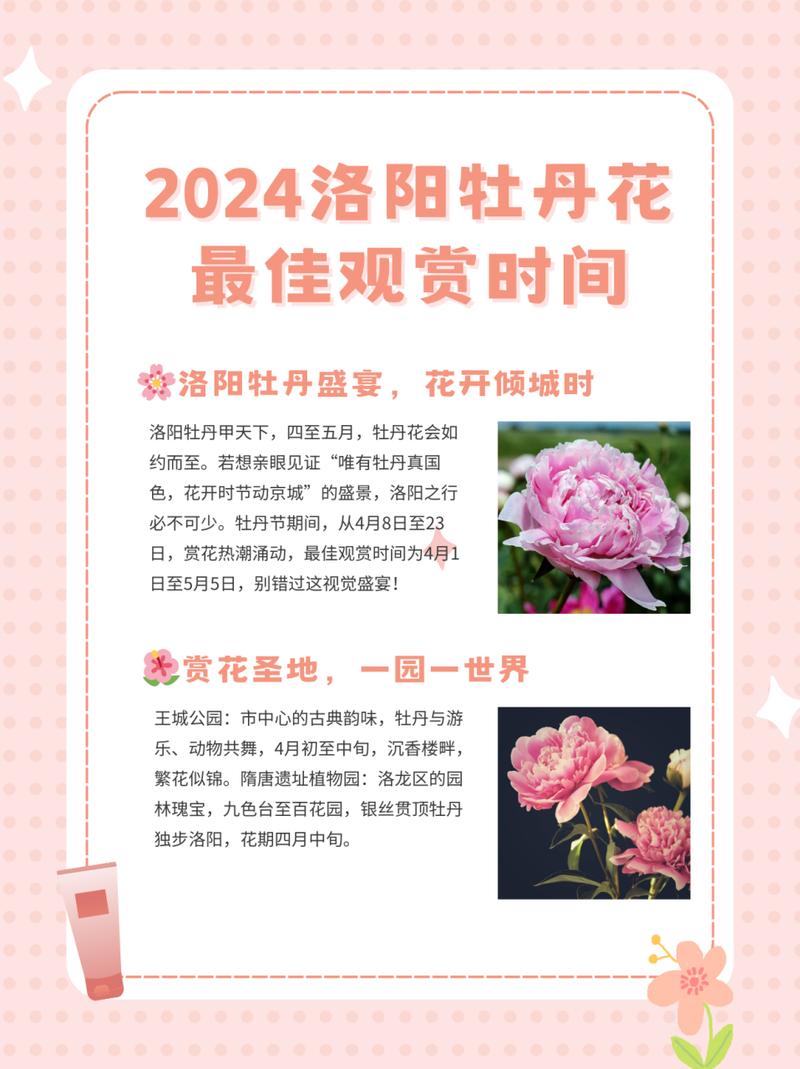 洛阳牡丹文化节限行-洛阳牡丹节限行最新通知-第6张图片 洛阳牡丹文化节限行-洛阳牡丹节限行最新通知-第6张图片