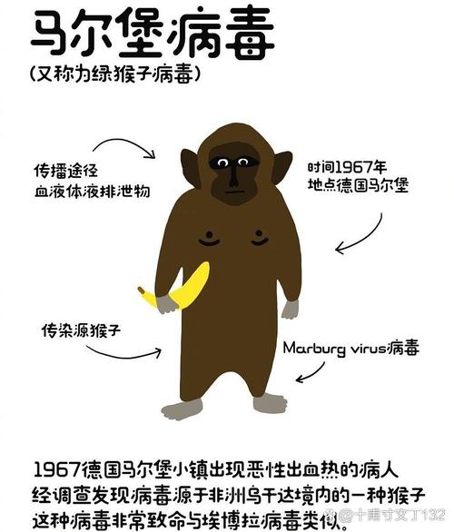 【安哥拉新冠疫情,安哥拉新冠疫情最新数据】-第3张图片 【安哥拉新冠疫情,安哥拉新冠疫情最新数据】-第3张图片