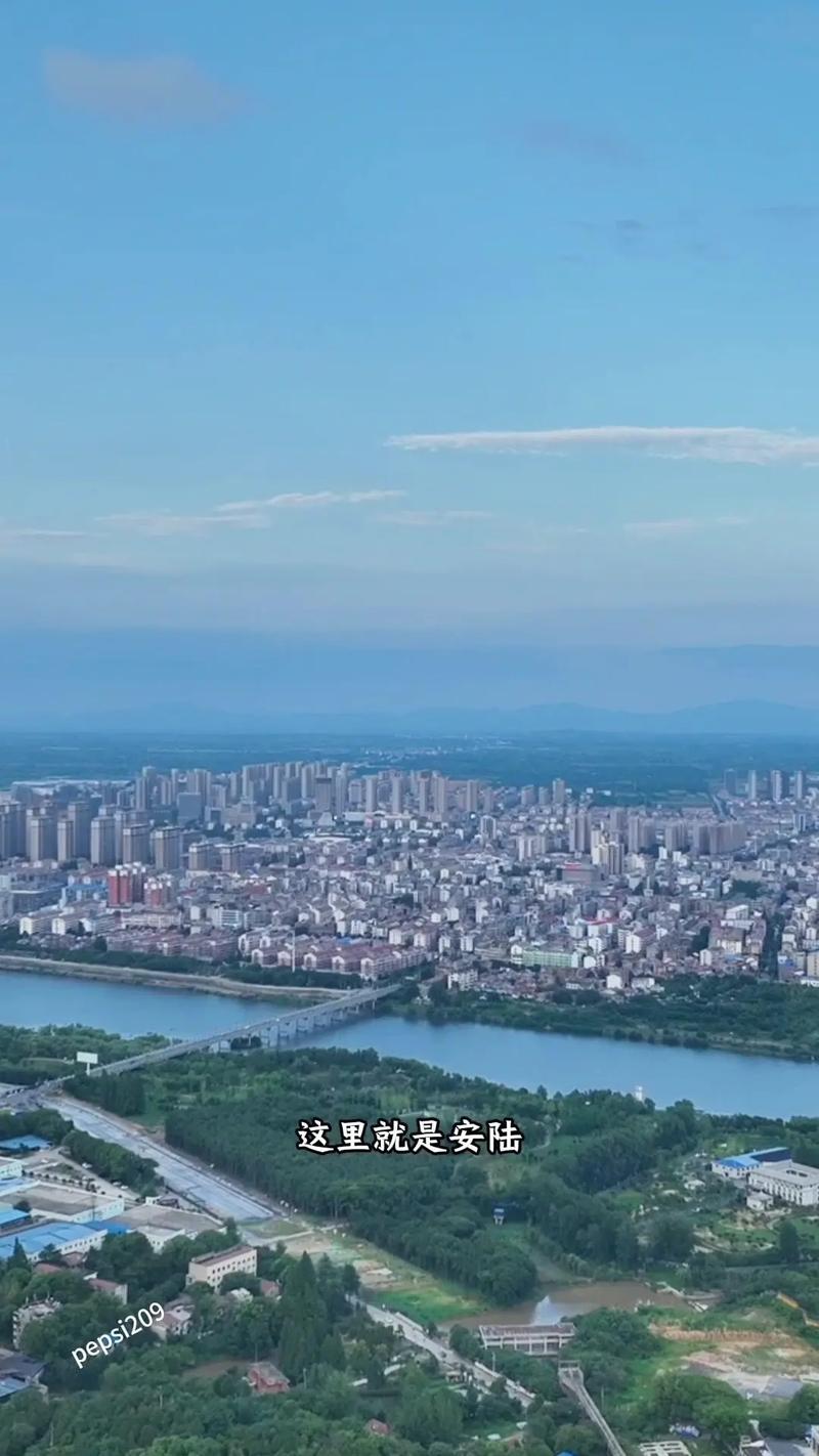 安陆疫情代购,湖北安陆市冠状病毒-第6张图片 安陆疫情代购,湖北安陆市冠状病毒-第6张图片