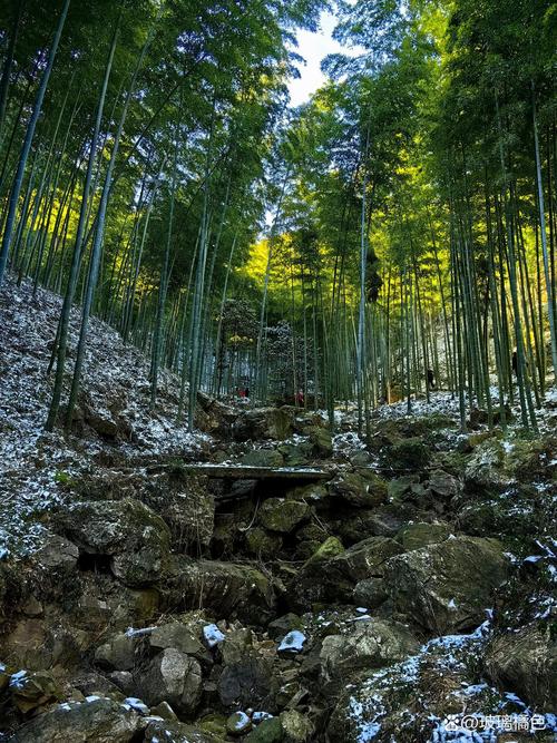 安徽景区疫情，安徽旅行团疫情-第7张图片