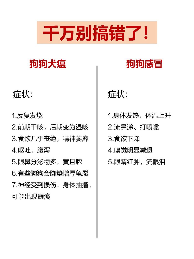 疫情的拼音-疫情的拼音怎么写?-第7张图片 疫情的拼音-疫情的拼音怎么写?-第7张图片