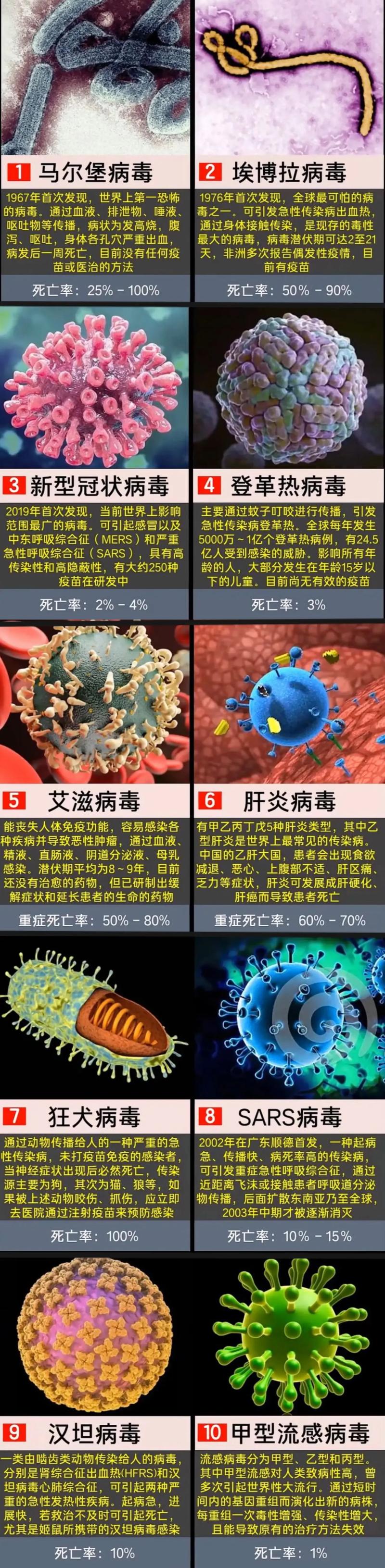 巴拉圭是什么疫情(巴拉圭情况)-第3张图片 巴拉圭是什么疫情(巴拉圭情况)-第3张图片