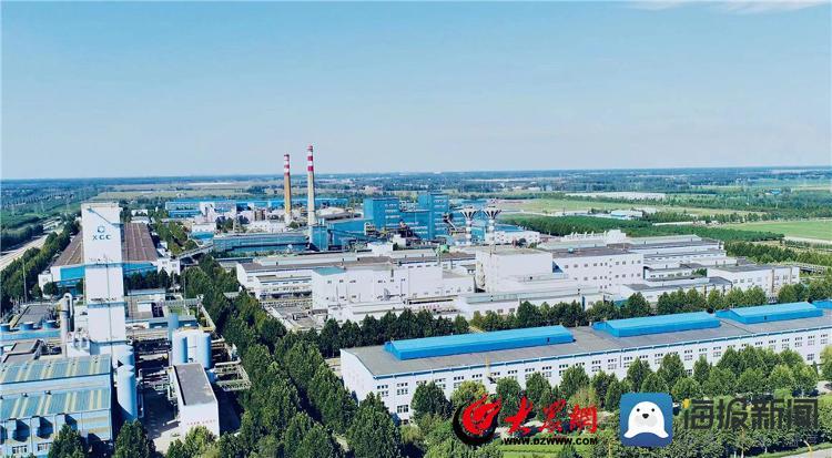 阳谷最新疫情(阳谷疫情最新通告)-第5张图片 阳谷最新疫情(阳谷疫情最新通告)-第5张图片